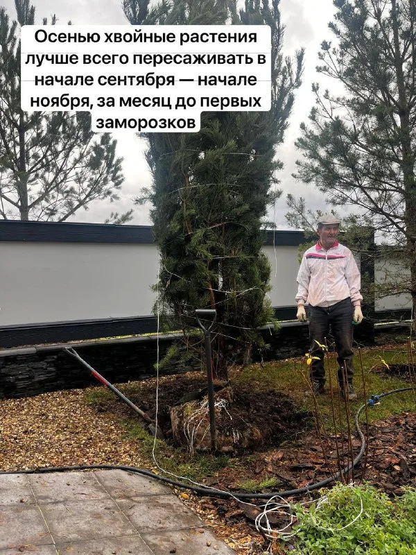 Ландшафтный дизайн — фото из ленты Академии ЛУ от 3 ноября 2025 г.