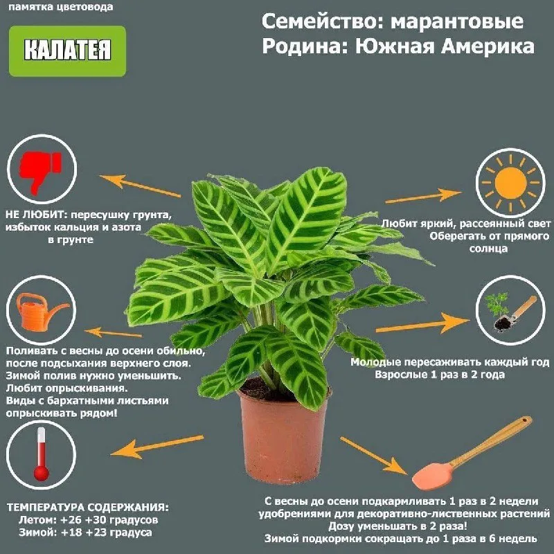Экспресс-памятка на зимний период:•ВСЕМ! — фото 3