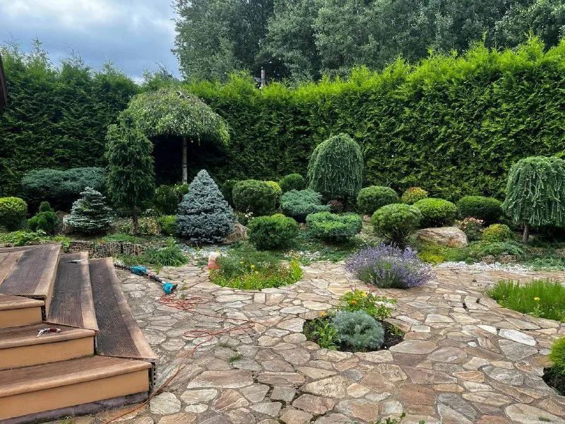 ✂️🍃🌳Топиарная стрижка (или просто топиар… — фото 4