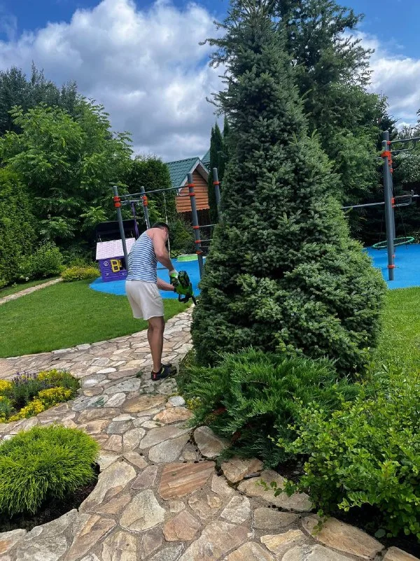 ✂️🍃🌳Топиарная стрижка (или просто топиар… — фото 7
