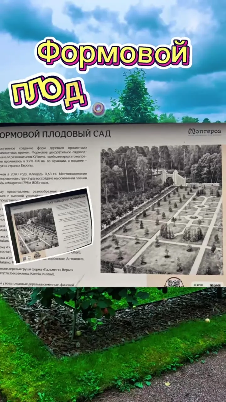 Уход — фото из ленты Академии ЛУ от 28 августа 2026 г.