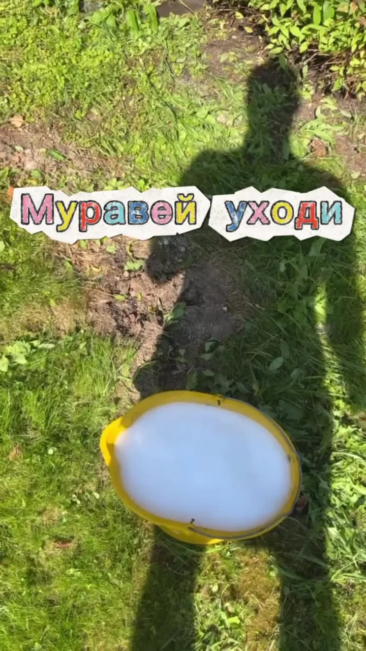 Уход за садом — свежая работа Академии ЛУ