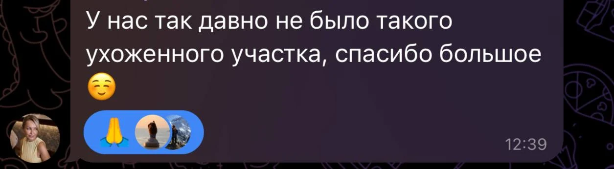 Скрин отзыва из Telegram: Екатерина