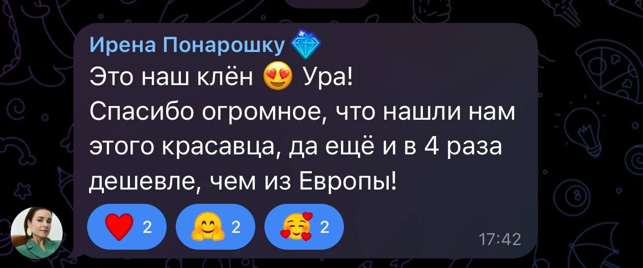 Отзыв клиента из Telegram: Ирена Понарошку