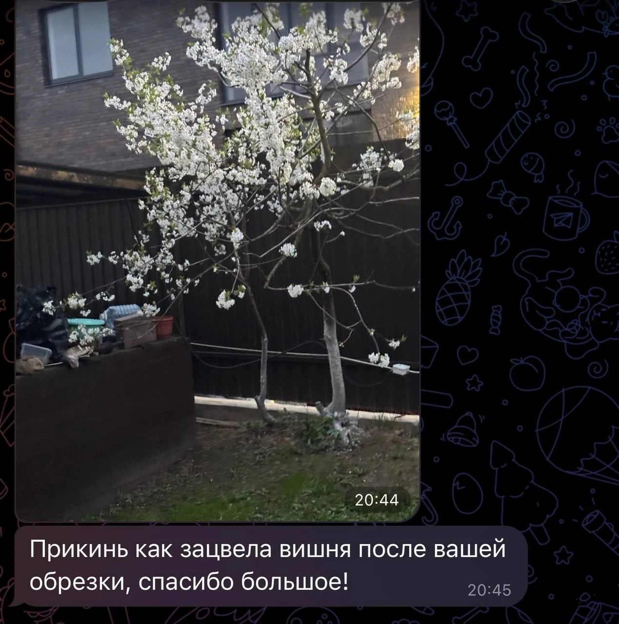 Скрин отзыва из Telegram: Юрий Соловьев